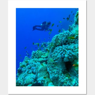 Coral reef and scuba diver Posters and Art